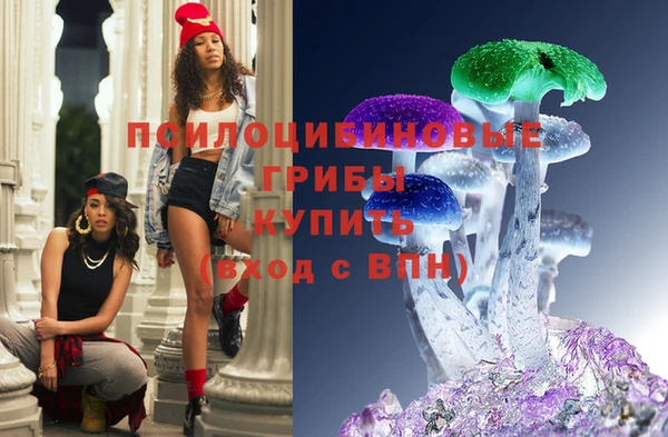 шишки Вяземский