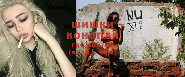 шишки Вяземский