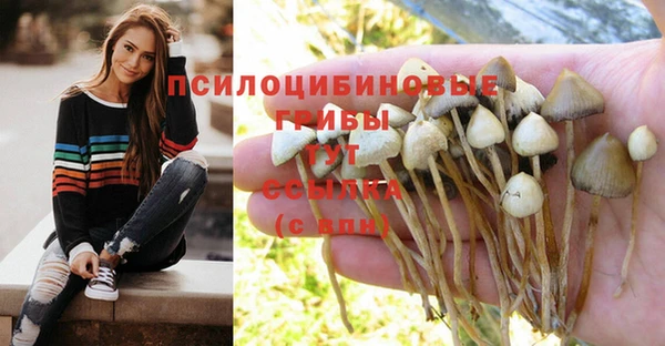 каннабис Вязники
