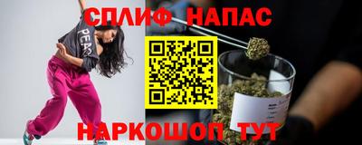крисы Дубна