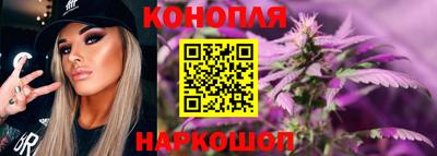 крисы Дубна