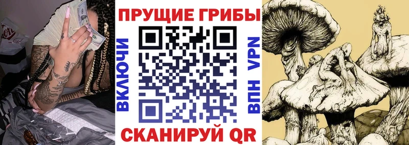 Псилоцибиновые грибы Psilocybine cubensis  магазин    Ноябрьск 