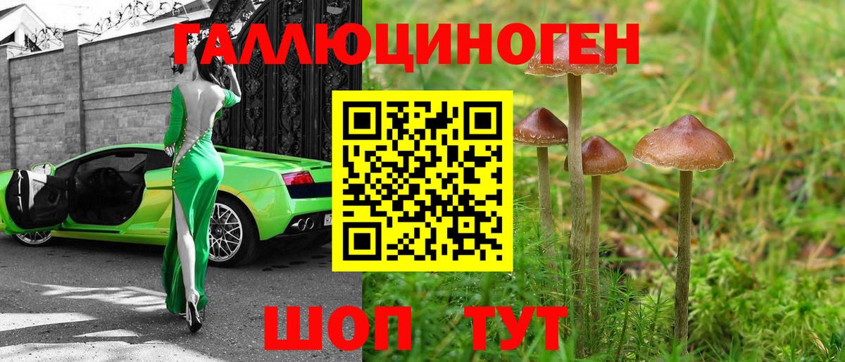 Псилоцибиновые грибы Magic Shrooms  Галлюциногенные грибы Cubensis  Вход с VPN  Ноябрьск 